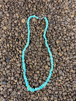 18” turquoise necklace
