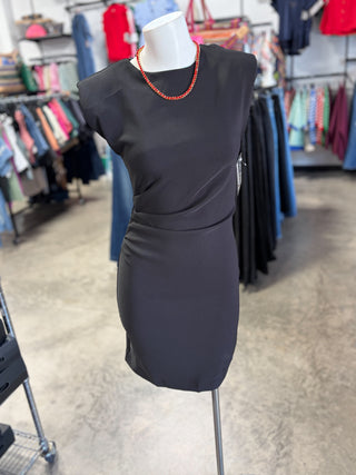 Shelly’s Ruched Dress