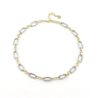 Two Tone Collectors Necklace - for Charms and Pendants