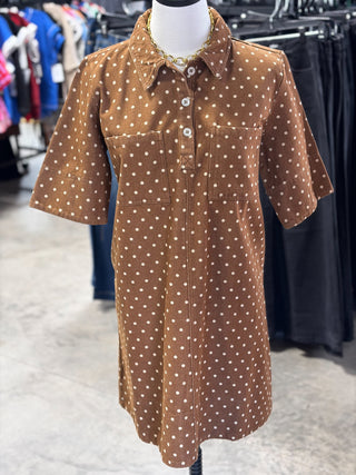 Polka Dot Denim Shirt Dress