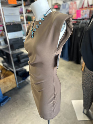Shelly’s Ruched Dress