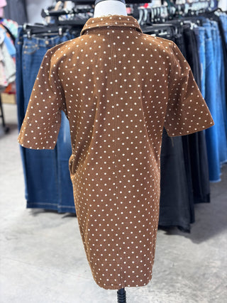 Polka Dot Denim Shirt Dress