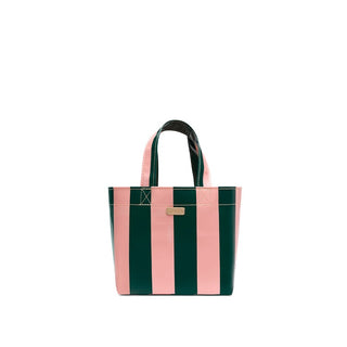 Grab ‘n’ Go Mini Fern