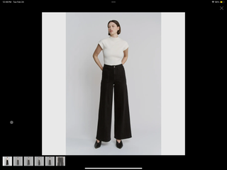 High Rise Steamed Trouser